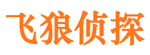 鱼峰侦探公司